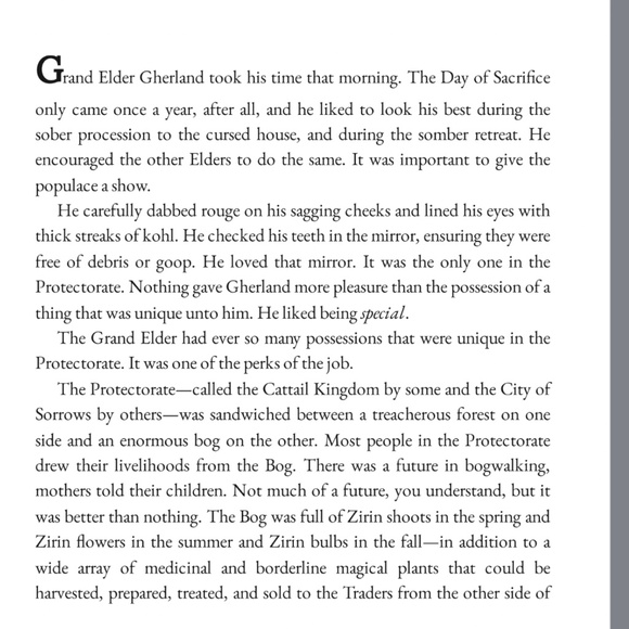 The Girl Who Drank the Moon Book by Kelly Barnhill Young Readers - Picture 5 of 5